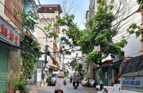 Bán đất mặt phố kinh doanh sần uât 299.9m2 Trâu Quỳ, Gia Lâm, Hà Nội.